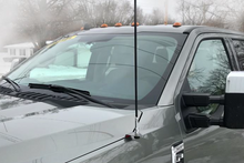 Load image into Gallery viewer, FALSE