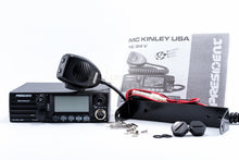 Load image into Gallery viewer, President Johnson II
